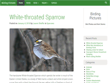 Tablet Screenshot of birdingpictures.com